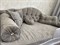 Диван-Кровать Иллюзия Лайт - фото 12013